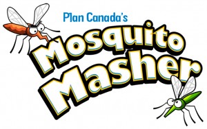 mosquito masher